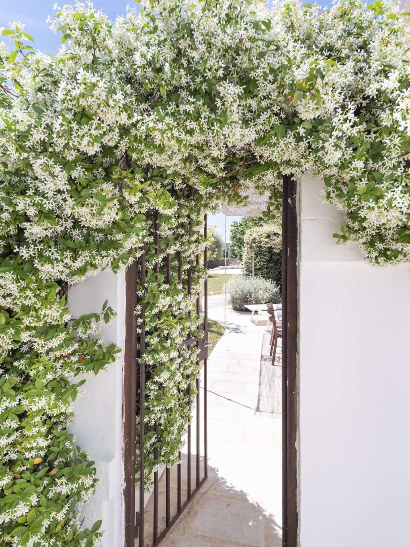 Masseria Alchimia Fasano Ngoại thất bức ảnh